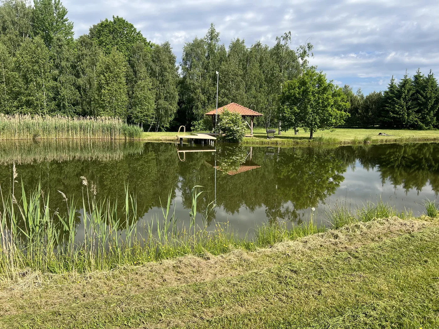 Tvenkinys